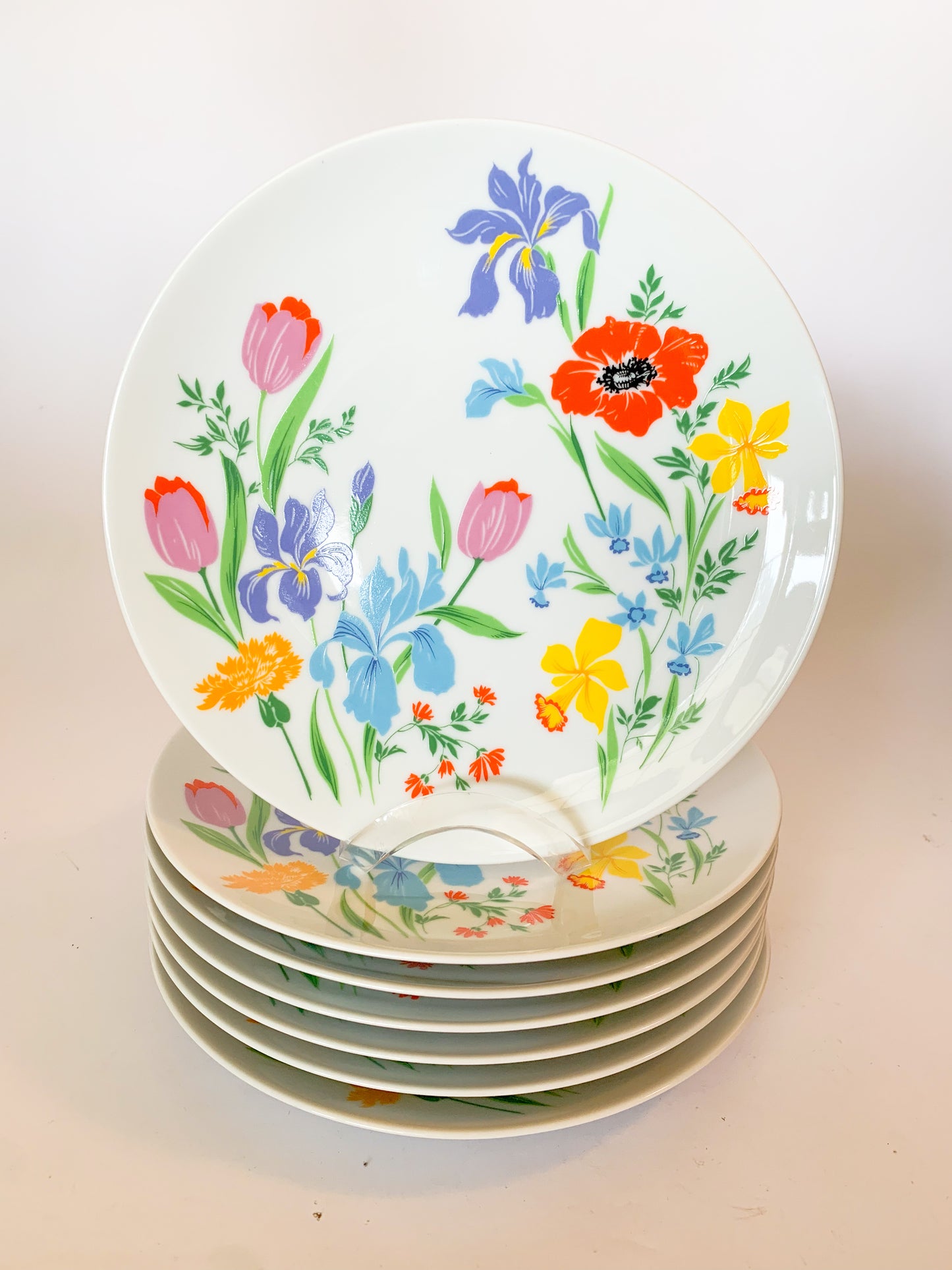 Vintage Heinrich Germany "Primavera" Dinner Plates, set of 7