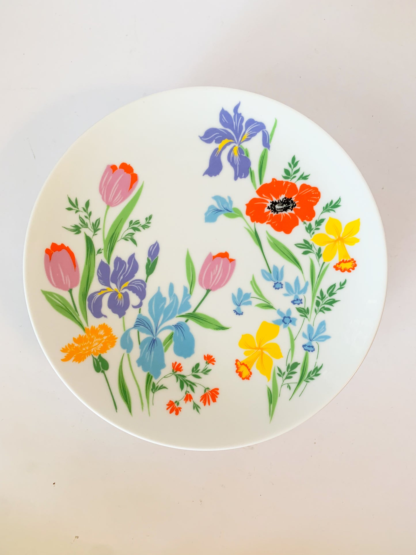 Vintage Heinrich Germany "Primavera" Dinner Plates, set of 7